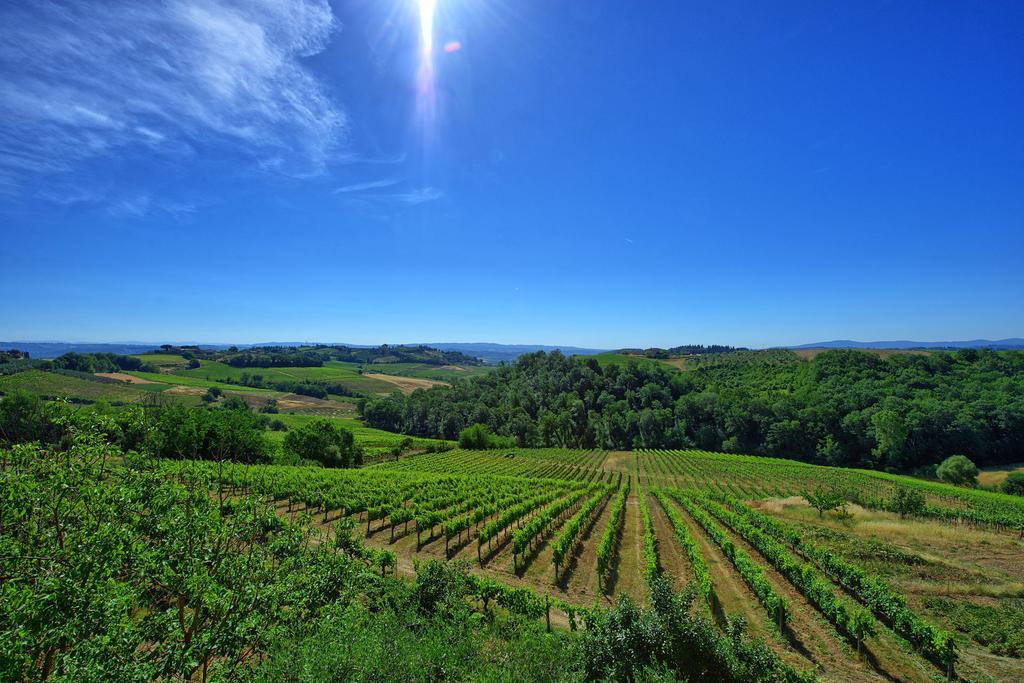 Azienda Agricola Fornacelle San Gimignano Dış mekan fotoğraf